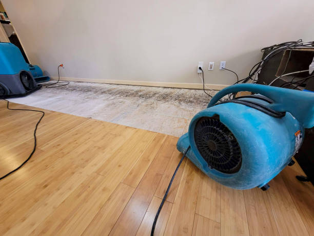 Professional Water Extraction technician working in South Barre, MA